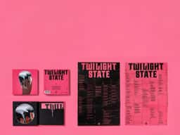 Album Packaging and Merchandise for YB’s Twilight State - thumbnail 6