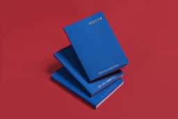 Editorial Design for Birth of the Passport - thumbnail 3