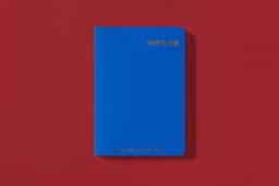 Editorial Design for Birth of the Passport - thumbnail 4