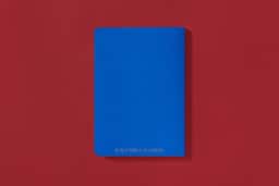 Editorial Design for Birth of the Passport - thumbnail 5