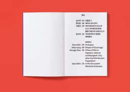 Editorial Design for the Subtopia Exhibition Publication - thumbnail 7