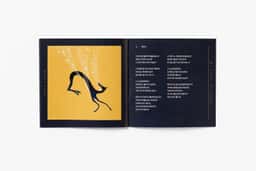 Album Packaging for Dear Cloud - thumbnail 8