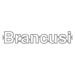Graphic Identity for Brancusi - thumbnail 4