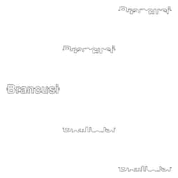 Graphic Identity for Brancusi - thumbnail 7