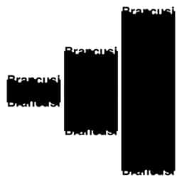 Graphic Identity for Brancusi - thumbnail 8