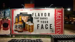 Brand System and Campaign for Lagunitas Brewing Company - thumbnail 2