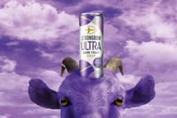 Launch Campaign for Strongbow Ultra Dark Fruit - thumbnail 2