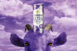 Launch Campaign for Strongbow Ultra Dark Fruit - thumbnail 4
