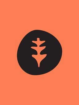 Brand Identity and Packaging for Little Larch - thumbnail 4