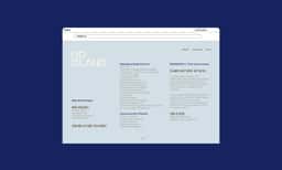 Brand Identity and Website Design for No Island - thumbnail 5