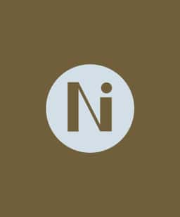 Brand Identity and Website Design for No Island - thumbnail 7