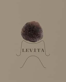 Packaging concept for a gourmet truffle brand  - thumbnail 2