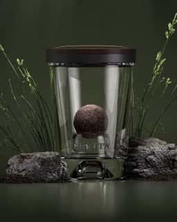 Packaging concept for a gourmet truffle brand  - thumbnail 4