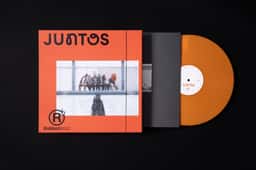 Packaging for a limited-edition vinyl record  - thumbnail 2