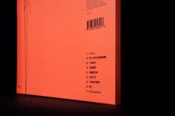 Packaging for a limited-edition vinyl record  - thumbnail 6