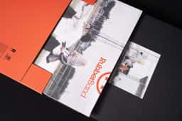 Packaging for a limited-edition vinyl record  - thumbnail 7