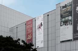 Identity design for a contemporary dance company  - thumbnail 8