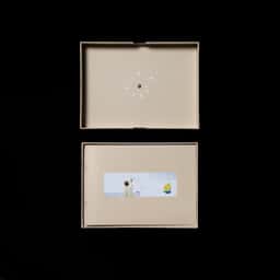 Album packaging for a Hong Kong singer  - thumbnail 4