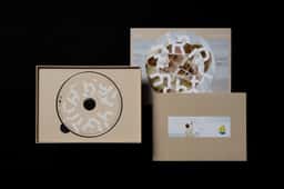 Album packaging for a Hong Kong singer  - thumbnail 6