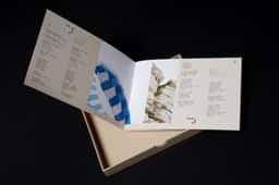 Album packaging for a Hong Kong singer  - thumbnail 8