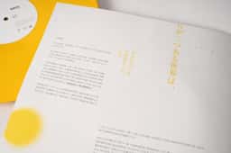 Packaging design for a Hong Kong singer-songwriter’s vinyl release  - thumbnail 8