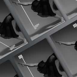 Identity design for a contemporary dance festival  - thumbnail 6