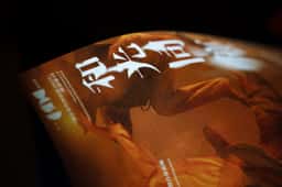 Identity for a contemporary dance performance - thumbnail 2