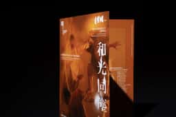 Identity for a contemporary dance performance - thumbnail 7
