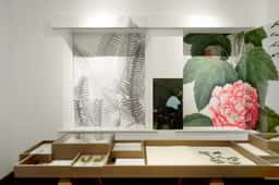 Exhibition identity for an environmental education centre  - thumbnail 6