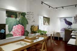 Exhibition identity for an environmental education centre  - thumbnail 8