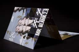 Identity design for a contemporary dance production  - thumbnail 6