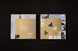 Identity design for a contemporary dance production  - thumbnail 8