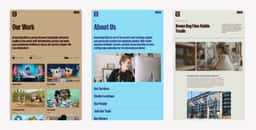 Brand and Website Repositioning for Brown Bag Films - thumbnail 6