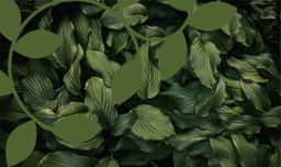 Visual Identity for Conservatoires Botaniques Nationaux - thumbnail 2