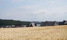 Editorial Identity for Observatoire de l’Environnement en Bretagne - thumbnail 2