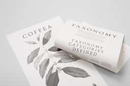 Poster Design for Square One Coffee Taxonomy - thumbnail 2