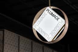 Brand Identity for Plumage Salon - thumbnail 2