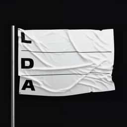 Adaptive Identity for Lithuanian Design Association - thumbnail 2