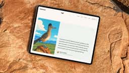 Brand Identity for Solidroad Customer Training Platform - thumbnail 10
