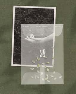 Brand Identity for La Sève Regenerative Farm - thumbnail 7