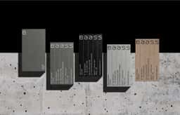 Brand Identity for BAASS - thumbnail 2