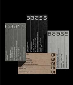 Brand Identity for BAASS - thumbnail 3