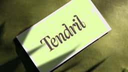 Brand Identity for Tendril Plant Care - thumbnail 7