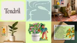 Brand Identity for Tendril Plant Care - thumbnail 8