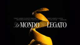 Brand Identity and Packaging for Le Mondo Legato - thumbnail 8