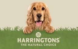 Brand Identity Refresh for Harringtons Pet Food - thumbnail 3