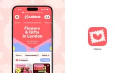 Brand Identity for Udora Gift Delivery - thumbnail 11