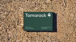 Brand Identity and Website for Tamarack - thumbnail 6