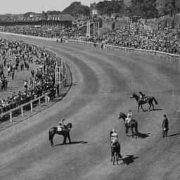 Brand Identity for Chester Racecourse - thumbnail 5