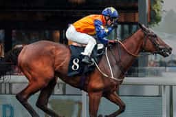 Brand Identity for Chester Racecourse - thumbnail 9